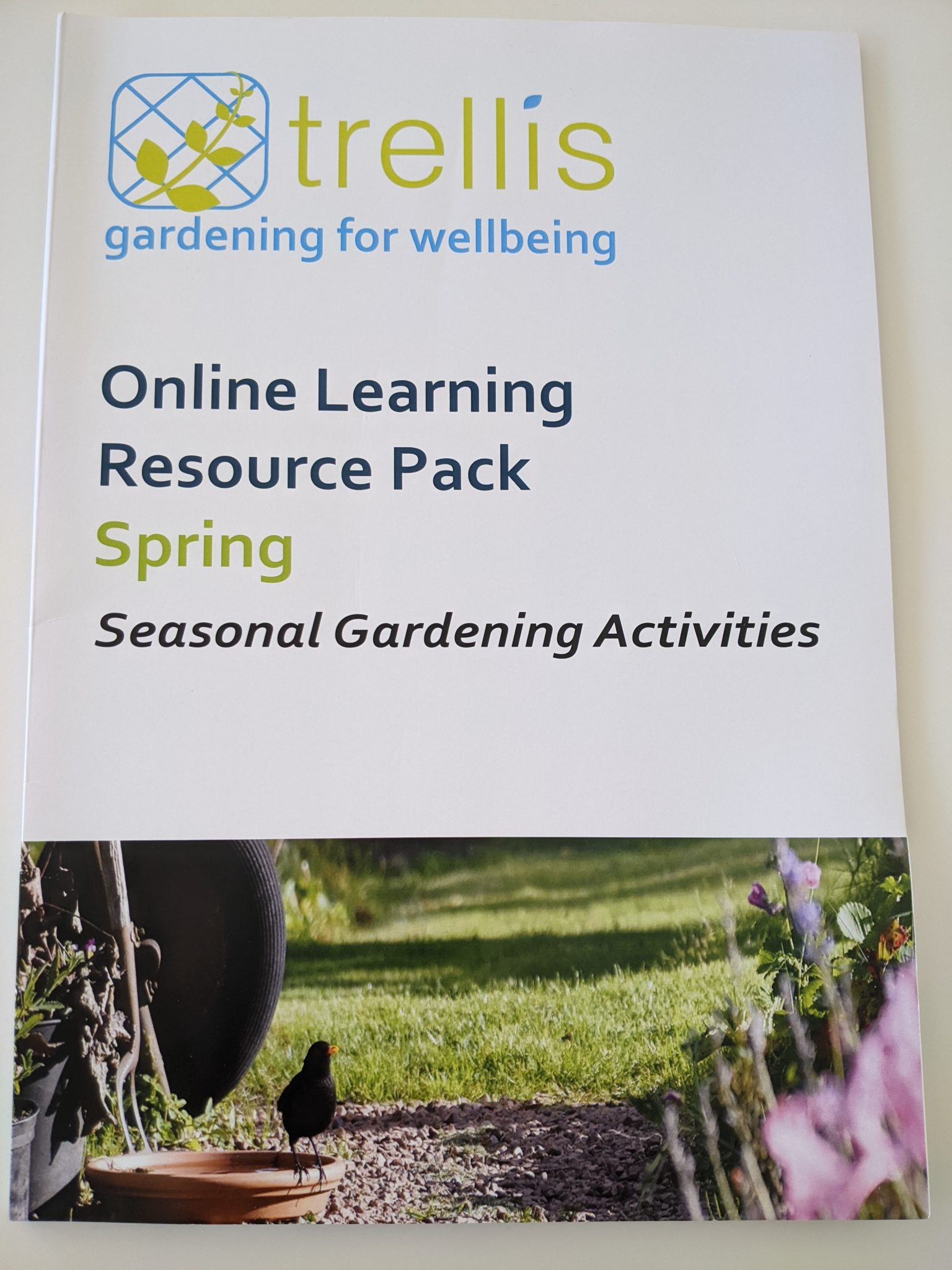Spring Resource Pack – Trellis Scotland Shop